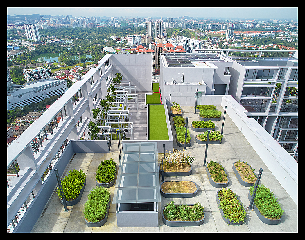 Expressionz Suite Exterior View
